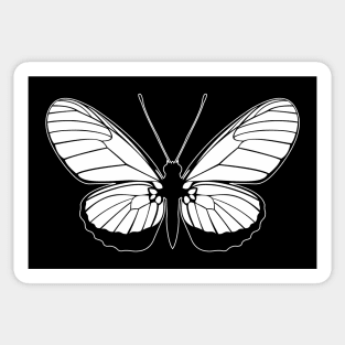 butterfly Sticker